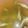 す1222's cooksnap of when they made エコなのか!?お米の研ぎ汁でお味噌汁✿.