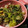 す1222's cooksnap of when they made さばの水煮缶を使って☆味噌煮炒め.