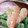 いちごのけーき's cooksnap of when they made 超簡単!菜の花とえびのマヨネーズ和え.