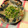 キャビィーママ's cooksnap of when they made 豆苗とｼｰﾁｷﾝのﾏﾖｻﾗﾀﾞ.