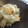 monnalisa's cooksnap of when they made 簡単　海老とそら豆の　ヘルシーリゾット.