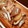 sayaka0223's cooksnap of when they made 【簡単で臭みがない】ぶり大根.