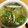 うなちゃん！'s cooksnap of when they made ☆しいたけとレタスのちょっとしたスープ☆.