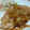 RUMI180's cooksnap of when they made ご飯がススム♡我が家の豚の生姜焼き.