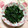 あざらしの赤ちゃん's cooksnap of when they made ･｡*めちゃ簡単♪セロリの和え物*｡･.