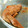 にょん03's cooksnap of when they made 手羽先とじゃがいものほろほろ煮.