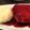 maripetty's cooksnap of when they made 【憧れのフレンチ】鴨のオレンジソース.