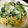 ｄｕ＿ｕｂ's cooksnap of when they made 簡単☆小松菜とベーコンのクリームパスタ.