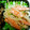 ゆず茶☆★'s cooksnap of when they made もやしのめんたい炒め.