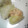 くなぎさとも's cooksnap of when they made らっきょう嫌いをだまして☆酒アテ.