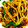 shimarron3's cooksnap of when they made たっぷりネギと缶詰イワシの和風パスタ.