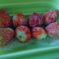 福丸みのる's cooksnap of when they made 【フローズンいちご】～いちごの冷凍保存法.
