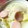 グルテン無礼講's cooksnap of when they made お魚ソーセージと白菜の豆乳クリーム煮.