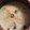 なかむう2929's cooksnap of when they made あったか～い♪鮭ときのこの和風シチュー.