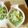 ティアリン's cooksnap of when they made ササッと簡単　水菜と長芋のタラコサラダ.