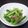 近所に同姓同名's cooksnap of when they made 小松菜とツナの和え物.
