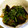 クックY328SG☆'s cooksnap of when they made 簡単☆ナスの揚げびたし☆.