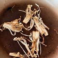 mantacarp's cooksnap of when they made 焼くだけシリーズ①　えのき茸.