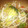 カニーヘン's cooksnap of when they made もやしと豚ミンチの 旨うまオイスター炒め.