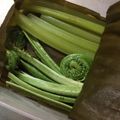 ミセスおおから's cooksnap of when they made いろいろ野菜の昆布締め.