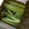 ミセスおおから's cooksnap of when they made いろいろ野菜の昆布締め.