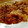 マロン＆シーバ's cooksnap of when they made 簡単!!長芋のとろとろ焼き.