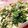 ☆あいたん's cooksnap of when they made 簡単ほうれん草と油揚げの白和え(^^).
