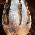 マサーー's cooksnap of when they made フルーツたっぷり全粒粉ブレッド.