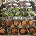 ぽりもん's cooksnap of when they made 簡単トリュフ♡.