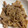 ぽんちゃす's cooksnap of when they made 豚こまのさっぱりゴマぽん♪♪.