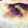kkll0000's cooksnap of when they made いつでも簡単、パイのふた.