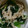 ＊miona＊'s cooksnap of when they made ほうれん草もやし榎茸のネギ塩炒め.
