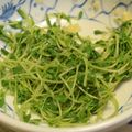 あさみ1979's cooksnap of when they made 簡単美味い♪豆苗のナムル！.
