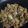 baly's cooksnap of when they made 白菜消費！豚バラ味噌炒め＊.