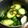 まろんぴ's cooksnap of when they made 簡単塩こぶきゅうり.