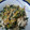 ｍａｒｉ♪'s cooksnap of when they made 豆腐とほうれん草炒め.
