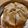 まめ豆マメ's cooksnap of when they made 簡単アップルケーキ.