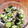 ☆もみー☆'s cooksnap of when they made もやしとワカメの酢のもの.