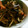 soratea's cooksnap of when they made ∮きくらげ入り✰彡切干大根の中華和え∮.