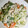 もりのりころ's cooksnap of when they made ＊白和え＊.