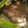幸◯妻（◉ω◉✳︎）'s cooksnap of when they made 牛すじの（下処理・保存）.