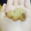 teatime♡'s cooksnap of when they made 簡単！スヌーピークッキー.