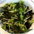 ちゅとママ's cooksnap of when they made おつまみにも♪ 水菜とすりごまのサラダ.