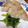 リー！'s cooksnap of when they made 簡単おいしい♪　豚の味噌漬け.