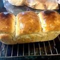 レンシェ's cooksnap of when they made さつまいも×ごま食パン.