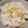 さっちこ1126's cooksnap of when they made 新ジャガと生姜の炊き込み御飯.