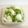 さくらちょことまと's cooksnap of when they made 白菜2枚　簡単！　白菜のゆず浅漬け.