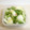 さくらちょことまと's cooksnap of when they made 白菜2枚　簡単！　白菜のゆず浅漬け.