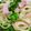 Rick_t's cooksnap of when they made 菜の花のパスタ☆簡単ペペロンチーノ.