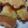 ハクチョー's cooksnap of when they made リメイク☆かぼちゃの煮物の天ぷら☆.